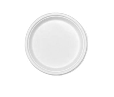 9×9 Round Plate — Compostable Bagasse